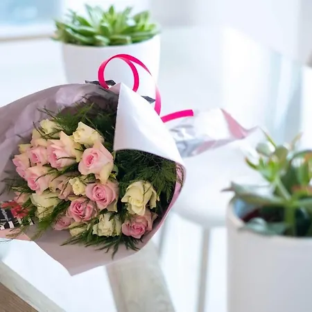 Apartmán Le Balcon De Notre Dame *